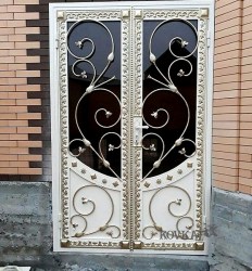 Дверь0343